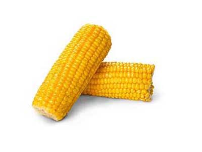 Целебная кукуруза, польза и вред  для здоровья человека.