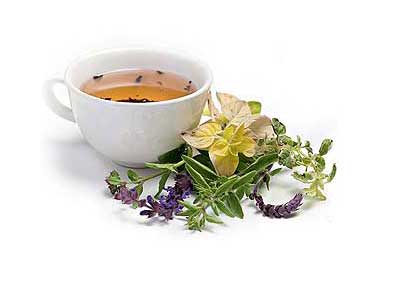 Как выбрать травяной чай для похудения?
