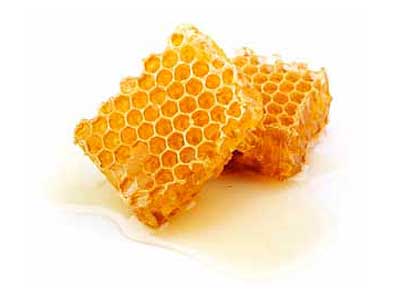 Целебный мед, польза и вред для организма человека.