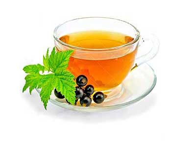 Целебный чай из листьев смородины, польза и вред.